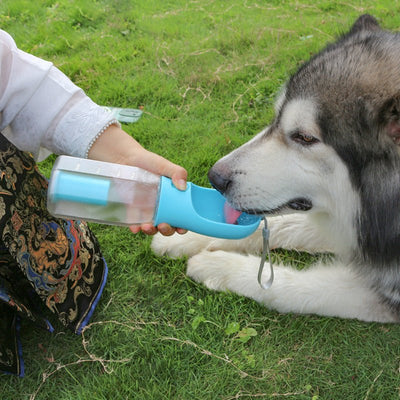HydraPaw™ – Feed, Hydrate & Clean Anywhere - elevarashop1